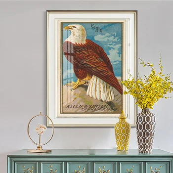 Винтажная иллюстрация Американский Белоголовый орлан Художественная печать Плакат Животное Птица Холст Картина Декор Наклейки На стены 18