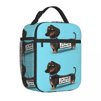 Собака Такса Забавный щенок Изолированная сумка для ланча Сумка-холодильник Контейнер для ланча Большой емкости Тотализатор Ланч-бокс Сумка для еды Колледж на открытом воздухе 3