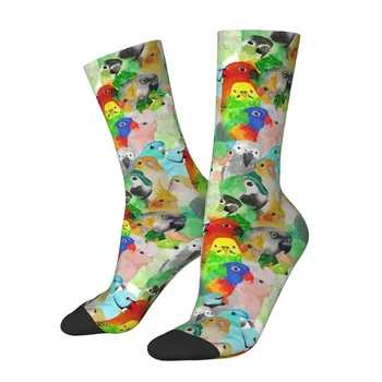 Всесезонные носки с попугаями в изобилии, Harajuku, супер мягкие носки для экипажа, Повседневные чулки для мужчин, Женские подарки 2