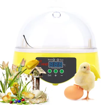 Цифровой Инкубатор на 7 яиц Для птичьего яйца Broedmachine Курица Утка Перепел Птицы Инкубатор для яиц Электронный Инкубатор Инструменты 11